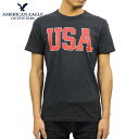 AJC[O AMERICAN EAGLE Ki Y N[lbN STVc AE BRANDED GRAPHIC TEE 0181-3670-427