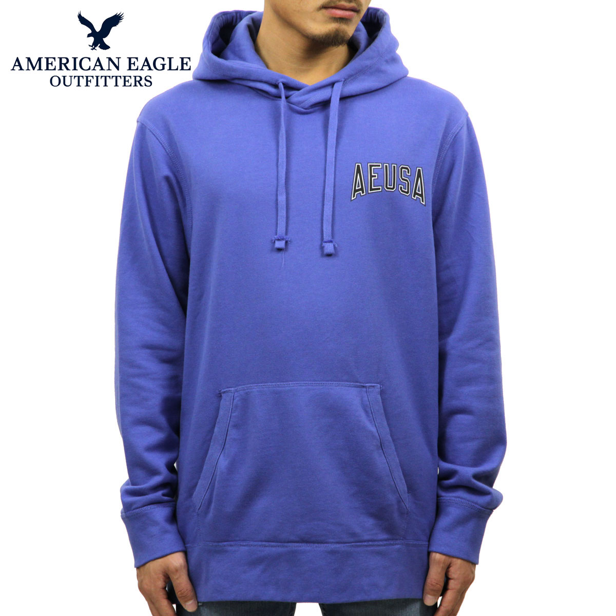 アメリカンイーグル AMERICAN EAGLE 正規品 メンズ 裏起毛 コットンスウェット プルオーバーパーカー AE GRAPHIC PULLOVER HOODIE 0193-1019-400