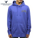 アメリカンイーグル AMERICAN EAGLE 正規品 メンズ 裏起毛 コットンスウェット プルオーバーパーカー AE GRAPHIC PULLOVER HOODIE 0193-1019-400