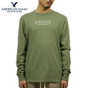 【ポイント10倍 5/1 0:00～5/1 23:59】 アメリカンイーグル ロンT メンズ 正規品 AMERICAN EAGLE 長袖Tシャツ AE Long Sleeve Graphic Tee 1182-3969-309