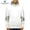 アメリカンイーグル パーカー メンズ 正規品 AMERICAN EAGLE プルオーバーパーカー AE Color Block Pullover Hoodie ...