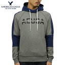 アメリカンイーグル パーカー メンズ 正規品 AMERICAN EAGLE プルオーバーパーカー AE Color Block Pullover Hoodie 0193-1041-006