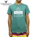 アメリカンイーグル Tシャツ 正規品 AMERICAN EAGLE 半袖Tシャツ クルーネックTシャツ AE SHORT SLEEVE GRAPHIC T-SHIRT 0181-4095-308