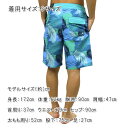 アメリカンイーグル 水着 メンズ サーフパンツ 正規品 AMERICAN EAGLE スイムパンツ トランクス型水着 ボードショーツ AE CLASSIC BOARD SHORT 0133-6790-400