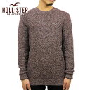 ホリスター カンパニー ホリスター セーター メンズ 正規品 HOLLISTER クルーネックセーター Waffle Crewneck Sweater 320-201-0690-522