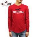 ホリスター ロンT メンズ 正規品 HOLLISTER 長袖Tシャツ クルーネックTシャツ Applique Logo Graphic Tee 323-248-0193-500