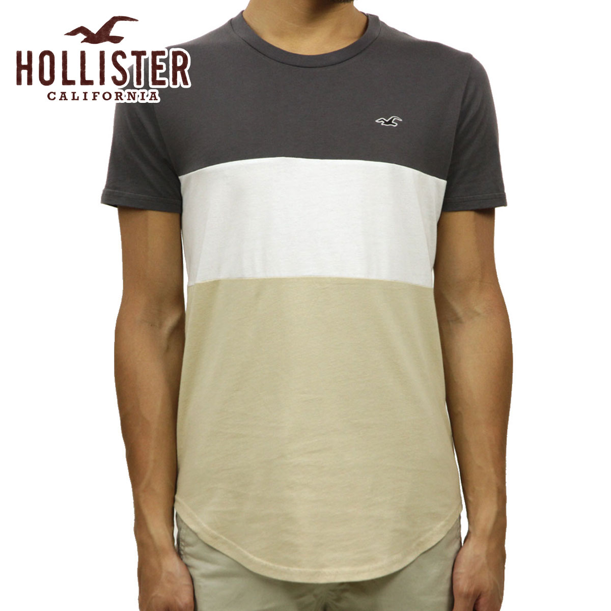 ホリスター Tシャツ メンズ 正規品 HOLLISTER 半袖Tシャツ クルーネックTシャツ カーブヘム Colorblock Curved Hem T-Shirt 324-368-0646-112