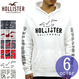 ホリスター パーカー（メンズ） 【ポイント10倍 3/21 20:00～3/27 1:59】 ホリスター HOLLISTER 正規品 メンズ ロゴアップリケ プルオーバーパーカー Logo Graphic Hoodie 322-226