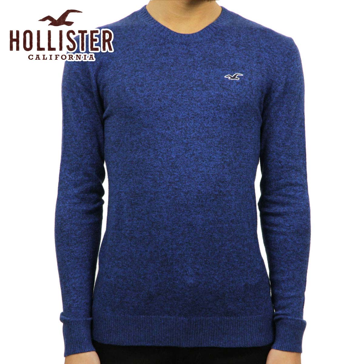 ホリスター セーター メンズ 正規品 HOLLISTER クルーネックセーター Lightweight Crewneck Sweater 320-201-0661-220 父の日 プレゼント ラッピング
