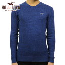 ホリスター 服 メンズ ホリスター セーター メンズ 正規品 HOLLISTER クルーネックセーター Lightweight Crewneck Sweater 320-201-0661-220