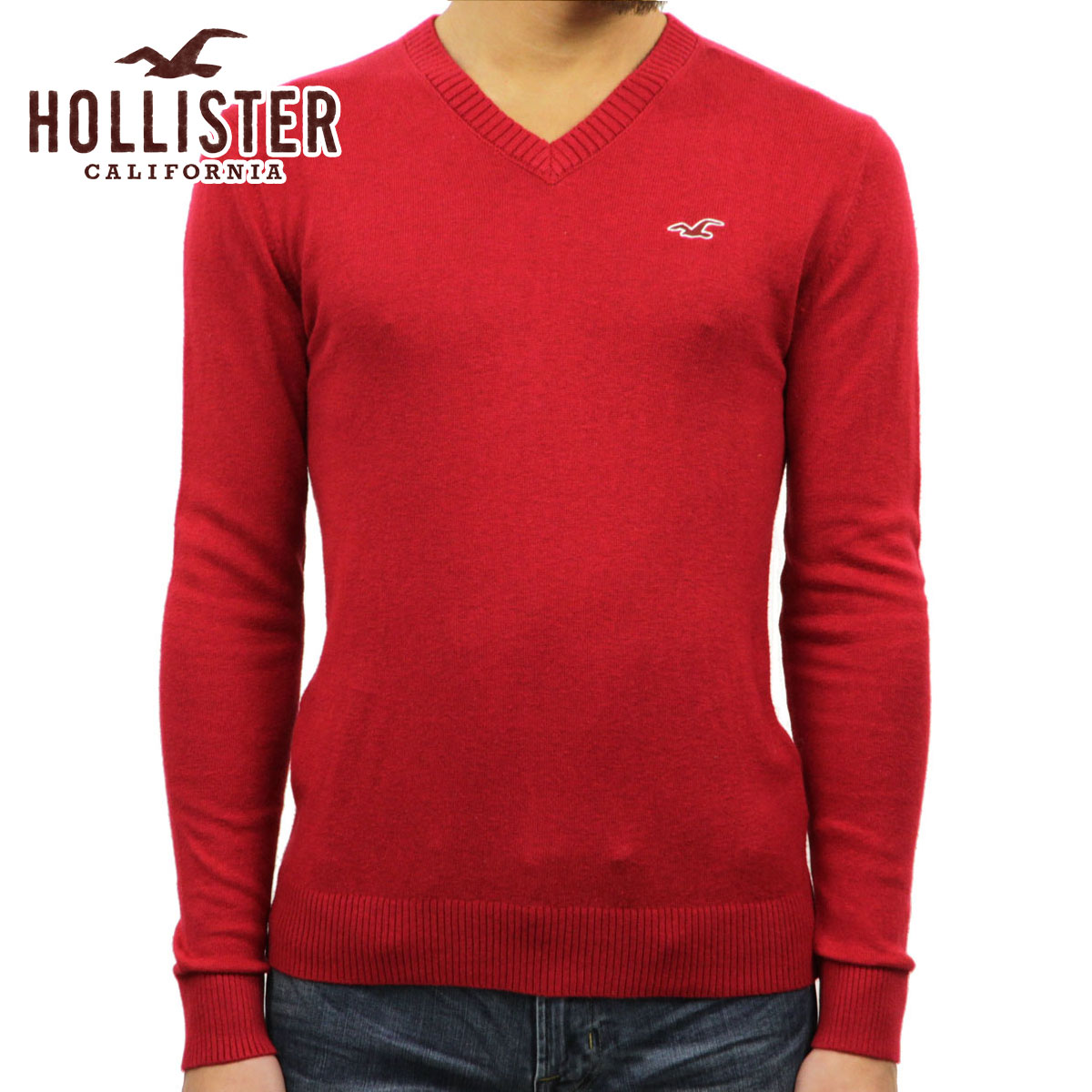  ホリスター セーター メンズ 正規品 HOLLISTER Vネックセーター Lightweight V-Neck Sweater 320-201-0636-502