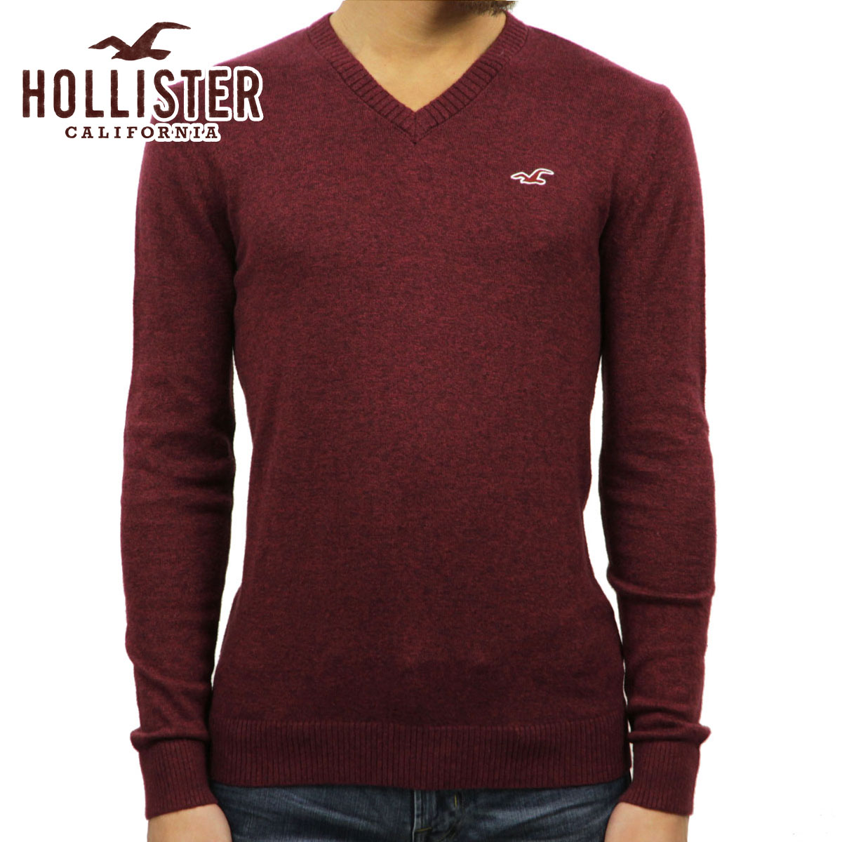 ホリスター セーター メンズ 正規品 HOLLISTER Vネックセーター Lightweight V-Neck Sweater 320-201-0617-522 父の日 プレゼント ラッピング