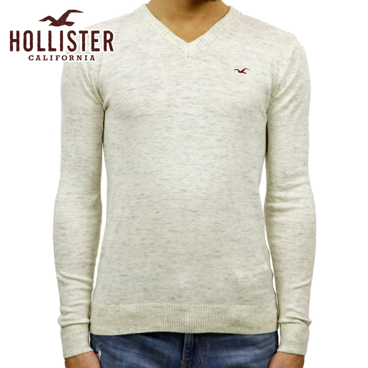 10%OFFクーポンセール  ホリスター セーター メンズ 正規品 HOLLISTER Vネックセーター Lightweight V-Neck Sweater 320-201-0617-178