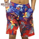 【ポイント10倍 5/9 20:00～5/16 1:59】 ホリスター 水着 メンズ 正規品 HOLLISTER スイムパンツ Cali Longboard Fit Boardshorts 333-340-0584-506