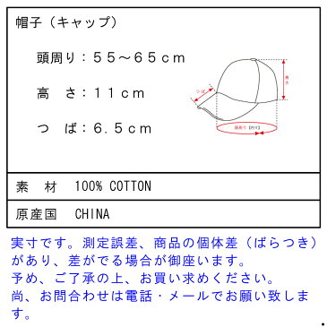 【ポイント10倍 5/4 10:00〜5/7 09:59まで】 ノースフェイス THE NORTH FACE 正規品 メンズ レディース キャップ 帽子 THE NORTH FACE FIVE PANEL BALL CAP WEATHERED BLACK/PORCELAIN GREEN