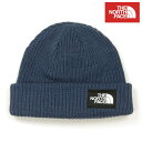 ノースフェイス ニットキャップ メンズ レディース 正規品 THE NORTH FACE 帽子 ニット帽 キャップ ビーニー SALTY DOG BEANIE NF0A3FJW HDC SHADY BLUE