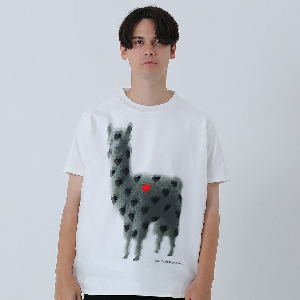 　ALPACA RED LIST Tシャツ メンズ ユニセックス レディース 半袖 白 全4サイズ S-XL 男性 女性 春夏用 ポリエステル 3D トリッピー プレゼント ギフト 彼氏 旦那 クーポン お買い物マラソン