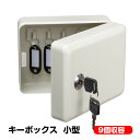 鍵付き キーボックス 10個収容 キーケース 小型 壁掛け 壁付け 鍵管理 オフィス 家庭 専用キーホルダー付き 業務用 玄関 屋外 インテリア オシャレ ホワ...
