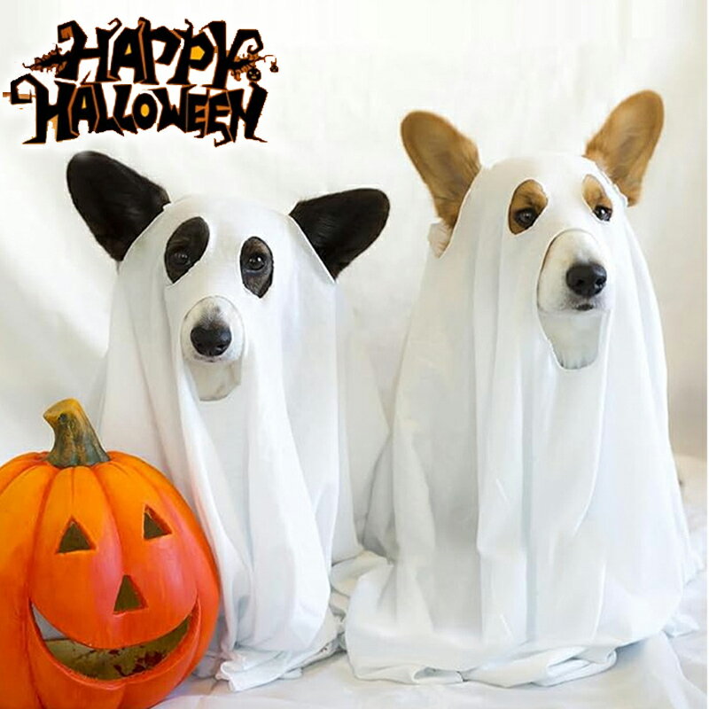 【P5倍★BF限定クーポン】ハロウィン コスプレ衣装 ペット服 犬 ペット 変身 犬用帽子 コスプレ コスチ..