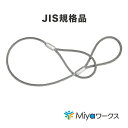 JIS玉掛 ワイヤーロープ 10mmx3m【2本セット】ロック加工6x24　A種　両アイ加工　玉掛け　クレーン作業　【送料無料】