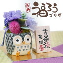 母の日 花 プリザーブドフラワー 古希 お祝い 女性 ふくろう 和風 名入れ 【 長寿 ふくろう プリザ 】 誕生日 プレゼント ギフト かわいい カーネーショ...