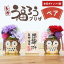 \ 5月10日限定!ポイント5倍 /父の日 早割 \ランキング1位/ 母の日 プリザーブドフラワー 和風 名入れ【 長寿 ふくろう プリザ ペア 】 誕生日 プ...