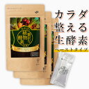 【送料無料| 健康を支える酵素 】みやびの贅沢な植物酵素100 ×3袋セット 約90日分【100種の植物】 ペースト プルーン味 食物酵素 発酵食品 乳酸菌 オリゴ糖 黒酢 ローヤルゼリー 高麗人参 ヒハツ 腸 フローラ 消化酵素 みやび
