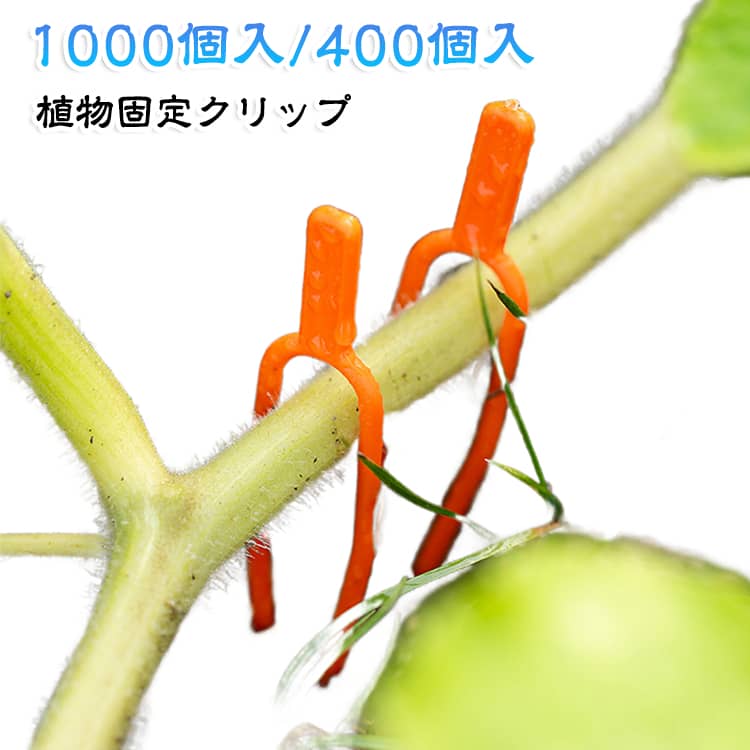 【幅広い用途】きゅうり、スイカ、いちご、トマト、バラなど匍匐植物に広く使用されます。【使いやすい】シンプルで繊細なハンドルデザイン、操作が簡単で、時間と労力を節約することができます。【優れた耐久性と防水性】園芸クリップは耐久性のあるポリプロピレン素材を使用し、防水性と耐候性を備えています。頑丈で、柔軟性があり、鋭利で、壊れにくく、耐久性がある。【再利用可能】園芸クリップは品質のある素材を使用して、紫外線、 日差しに強く丈夫で長持ち、繰り返し使えて、低コストです。屋内または屋外の環境においても、クリップは長持ちし、簡単に損傷することはありません。 サイズ 6.5cm（400個入） 5cm（1000個入） サイズについての説明 6.5cm 5cm ※商品のサイズは手作業で測定させて頂いておりますので、若干の誤差があります。 素材 PP 色 写真色 備考 ●サイズ詳細等の測り方はスタッフ間で統一、徹底はしておりますが、実寸は商品によって若干の誤差(1cm～3cm )がある場合がございますので、予めご了承ください。 ●製造ロットにより、細部形状の違いや、同色でも色味に多少の誤差が生じます。 ●パッケージは改良のため予告なく仕様を変更する場合があります。 ▼商品の色は、撮影時の光や、お客様のモニターの色具合などにより、実際の商品と異なる場合がございます。あらかじめ、ご了承ください。 ▼生地の特性上、やや匂いが強く感じられるものもございます。数日のご使用や陰干しなどで気になる匂いはほとんど感じられなくなります。 ▼同じ商品でも生産時期により形やサイズ、カラーに多少の誤差が生じる場合もございます。 ▼他店舗でも在庫を共有して販売をしている為、受注後欠品となる場合もございます。予め、ご了承お願い申し上げます。 ▼出荷前に全て検品を行っておりますが、万が一商品に不具合があった場合は、お問い合わせフォームまたはメールよりご連絡頂けます様お願い申し上げます。速やかに対応致しますのでご安心ください。
