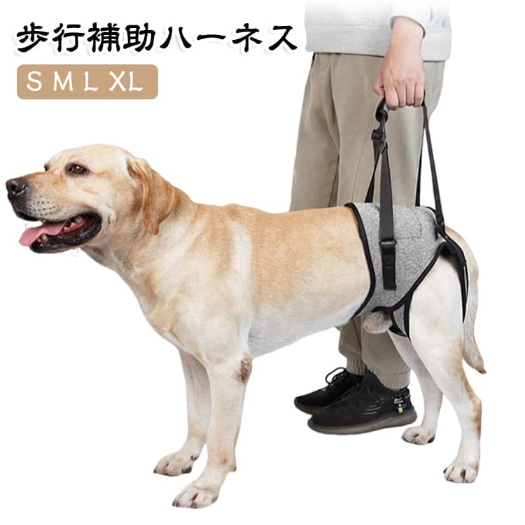 1. 重い体をしっかり支える「リフトアップ」設計。加齢やヘルニアなどで弱りやすい「後ろ足」や腰を重点的にサポート。持ち手を引くことで体重負担を減らし、スムーズな歩行補助が可能です。ふらつきを抑えることで、リハビリ中の歩行練習にも最適です。2. 大型犬から小型犬まで、全サイズ対応。チワワやトイプードルなどの小型犬から、柴犬などの中型犬、ラブラドールやゴールデンレトリバーなどの大型犬まで。S～XLの幅広いサイズ展開で、愛犬の体格にぴったりフィットします。3. 装着したまま「トイレ」もOK股関節周りを邪魔しない設計のため、ハーネスを装着したままでも排泄（トイレ）が可能です。足腰が弱ってしゃがむ姿勢が辛いワンちゃんの、排泄介助としても活躍します。4. 負担をかけない「軽量・メッシュ」素材。長時間つけていてもストレスにならないよう、通気性の良いメッシュ素材を採用。クッション性があり、皮膚への食い込みや摩擦を防ぎます。驚くほど軽量なので、筋力が落ちたシニア犬や老犬にも負担をかけません。【こんなシーンにおすすめ】・毎日の散歩での歩行サポートに・階段、玄関の段差、車への乗り降りの補助に・トイレのふらつき防止、立ち上がり補助に・寝たきり予防、筋力維持のリハビリトレーニングに サイズ S M L XL サイズについての説明 【S】ウエスト40-46　太もも周り24　おすすめ体重8-12kg　【M】ウエスト46-52　太もも周り27　おすすめ体重12-18kg　【L】ウエスト50-62　太もも周り31　おすすめ体重18-26kg　【XL】ウエスト62-76　太もも周り40　おすすめ体重15-40kg　※サイズ表の実寸法は商品によって1-3cm程度の誤差がある場合がございます。 素材 ポリエステル 色 グレー 備考 ●サイズ詳細等の測り方はスタッフ間で統一、徹底はしておりますが、実寸は商品によって若干の誤差(1cm～3cm )がある場合がございますので、予めご了承ください。 ●製造ロットにより、細部形状の違いや、同色でも色味に多少の誤差が生じます。 ●パッケージは改良のため予告なく仕様を変更する場合があります。 ▼商品の色は、撮影時の光や、お客様のモニターの色具合などにより、実際の商品と異なる場合がございます。あらかじめ、ご了承ください。 ▼生地の特性上、やや匂いが強く感じられるものもございます。数日のご使用や陰干しなどで気になる匂いはほとんど感じられなくなります。 ▼同じ商品でも生産時期により形やサイズ、カラーに多少の誤差が生じる場合もございます。 ▼他店舗でも在庫を共有して販売をしている為、受注後欠品となる場合もございます。予め、ご了承お願い申し上げます。 ▼出荷前に全て検品を行っておりますが、万が一商品に不具合があった場合は、お問い合わせフォームまたはメールよりご連絡頂けます様お願い申し上げます。速やかに対応致しますのでご安心ください。