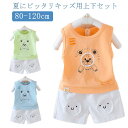 トップス ショートパンツ キッズ セットアップ 袖なし ジュニア 夏服 ベビー 男の子 子供服 シャツ 女の子 ボトムス タンクトップ 110 夏 ノースリーブ 上下セット 送料無料 可愛い 80 90 100 2点セット