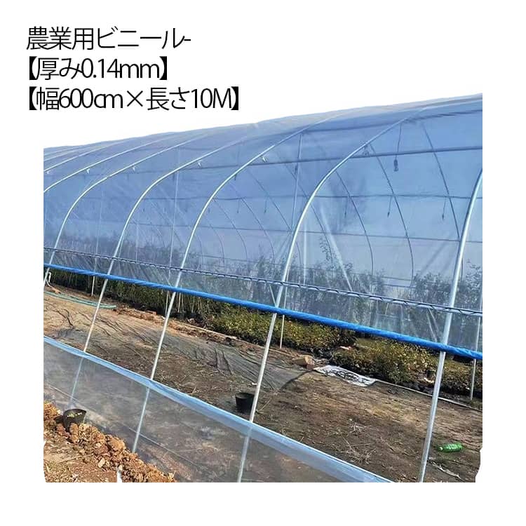 園芸用、屋根用、農業用POフィルム【厚み0.14mm】【幅600cm×長さ10M】透明性が高く、約90％の光を通します！農ビに比べ、軽くべたつきが少ないので取り扱いが楽です。農業用ビニールは、非常に弾力性に優れるので、パッカーでの固定が簡単で、しっかり固定できます！観葉植物の室内冬越し、苗の保温、霜に弱い植物の軒下での冬越し、トンネル栽培・雨除け栽培、保温、防霜、促成、防風、苗木、栽培植物、不凍液、風邪、虫よけ、展示用など、幅広い用途に対応可能です。 サイズ 幅600cm×長さ10M サイズについての説明 厚み0.14mm 幅600cm 長さ10m 素材 POフィルム 色 厚み0.14mm 備考 ●サイズ詳細等の測り方はスタッフ間で統一、徹底はしておりますが、実寸は商品によって若干の誤差(1cm～3cm )がある場合がございますので、予めご了承ください。 ●製造ロットにより、細部形状の違いや、同色でも色味に多少の誤差が生じます。 ●パッケージは改良のため予告なく仕様を変更する場合があります。 ▼商品の色は、撮影時の光や、お客様のモニターの色具合などにより、実際の商品と異なる場合がございます。あらかじめ、ご了承ください。 ▼生地の特性上、やや匂いが強く感じられるものもございます。数日のご使用や陰干しなどで気になる匂いはほとんど感じられなくなります。 ▼同じ商品でも生産時期により形やサイズ、カラーに多少の誤差が生じる場合もございます。 ▼他店舗でも在庫を共有して販売をしている為、受注後欠品となる場合もございます。予め、ご了承お願い申し上げます。 ▼出荷前に全て検品を行っておりますが、万が一商品に不具合があった場合は、お問い合わせフォームまたはメールよりご連絡頂けます様お願い申し上げます。速やかに対応致しますのでご安心ください。