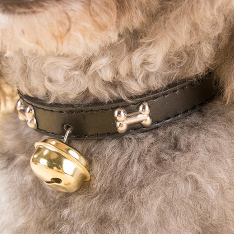 全4サイズ4色 猫 首輪 小型犬 超小型犬 PUレザー 可愛い ペット用品 鈴付 肉球 骨 ...