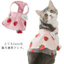 とてもCuteな猫犬兼用ドレス。ふんわりチュールにいちご柄が可愛いドッグドレス。くもりモチーフぬいぐるみ飾りが目を惹くワンポイント。薄手で通気性抜群の素材、肌触り優しく着心地がとても快適。 サイズXS S M L XL 2XLサイズについての説明XS 胴回り30 背丈14 目安体重0.5-1.5KG S 胴回り34 背丈17 目安体重1.5-2.5KG M 胴回り39 背丈20 目安体重2.5-4KG L 胴回り44 背丈23 目安体重4-5.5KG XL 胴回り50 背丈26 目安体重5.5-7.5KG 2XL 胴回り56 背丈30 目安体重7.5-10KG素材ポリエステル色ピンク備考注意★洗濯時、色落ちがございます。他の物とのお洗濯もお控えくださいませ。湿気を含んだ状態や水を含んだまま放置しないでください。この製品は洗濯で若干縮むことがあります。洗濯機は使用できません。※ベージュ×モカのみ使用糸の関係上、風合いが少々異なります。 ●綿混合商品は洗濯時に多少縮む事がございます。 ●本製品は生産過程におきまして、生地を織る際の糸の継ぎ目や多少のほつれが生じることがありまが、品質上は問題ありません。また、生地の織りに他繊維が混紡している場合もございます。▼色落ちの恐れがございますので、他のものとは分けて洗濯してください。▼タンブラー乾燥はお避け下さい。▼洗濯の際は他の物と区別して、漂白剤を避け、手洗いを お勧めします。