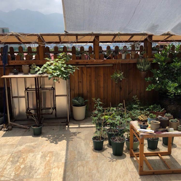 ���褱�������� ����� ������ ���󥷥����� 200cm��200cm �׸��ͥå� ���� Ǯ����к� UV���å� �糰���к� ���� �ܱ��� �糰�� �ʥ��� �����˥� �� �٥��� ������ �� �����ǥ�