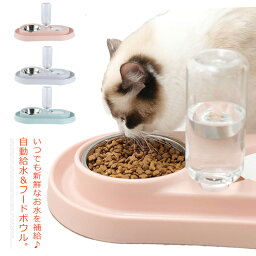 ペットボウル フードボウル 1台2役 ペット 自動給水器 給水器 餌食器 食器 犬 猫 大容量 ペットボトル 餌入れボウル エサやり 食器 猫皿 中小型犬用 イヌ ネコ お留守番対策 軽量 便利 ペットグッズ ペット用品