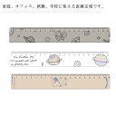 直定規 直線定規 製図 作図ツール 線引き 幾何学 中学生 小学生 教師 スクール 家庭用 文房具 可愛い 長さ20cm