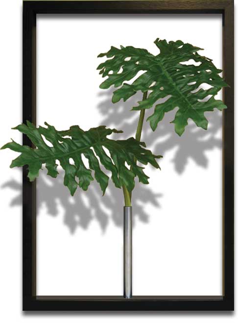 【送料無料】インテリアアート　リーフパネル　Philodendron bipinnatifidum／セローム ヒトデカズラ　F-STYLE/Tuinie《額付》　立体壁掛けグリーンフレーム