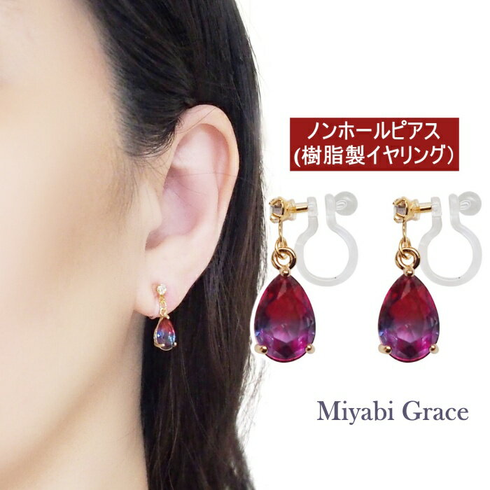 ノンホールピアスイヤリングレディー...