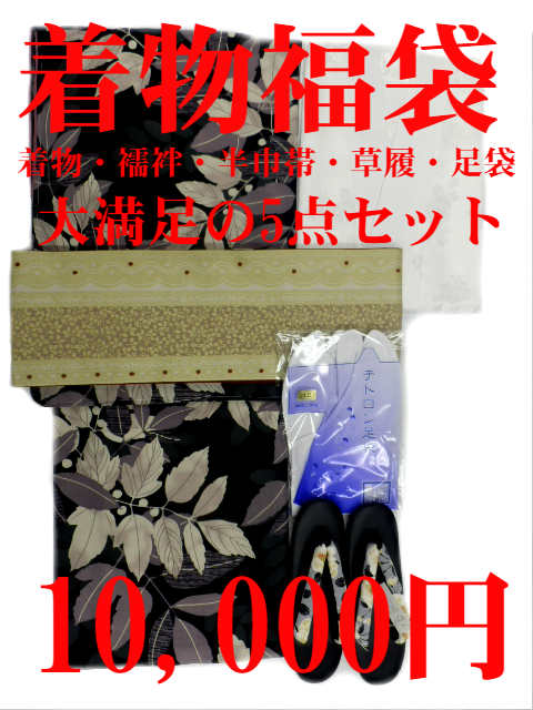 楽天京の呉服屋・雅サロンあす楽対応 大幅値下げ 着物 福袋 限定50セット販売 着物初心者にも 安心 小紋着物 5点セット