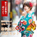 新年は着物で迎えよう あす楽対応 洗える着物 着物 大幅値下げ 着物 福袋 限定50セット販売 着物初心者にも 安心 小紋着物 12点フルセット レディース 冬...