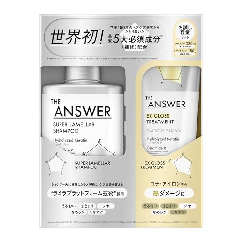 THE ANSWER ジ アンサー スーパーラメラシャンプー＆EXグロストリートメント FOR HEAT DAMAGE（ツヤ なめらか）お試し容量ペア 320ml＆180g