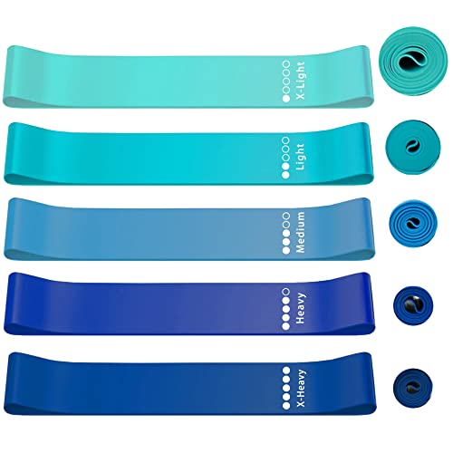 roseddy ȥ졼˥󥰥塼 Х ڥȥ 塼 ŷƥå Х 塼 ȥ졼˥ 5ܥå  ڥȥ  Х...