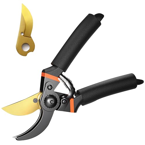 堅塁金物 剪定鋏 植木ハサミ 小さい 枝切り 軽量 ストレート ラジェット 造園 強力 園芸ハサミ 雑草 庭木 植木きりハサミ 替刃付き (ブラック1個入+替刃付き)