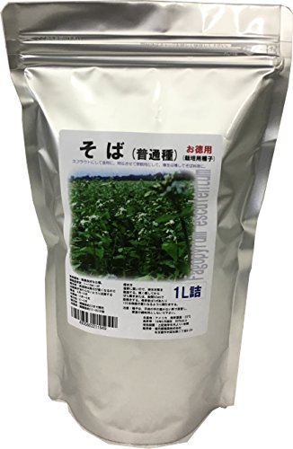 福花園種苗 そば種子(普通種)1L詰