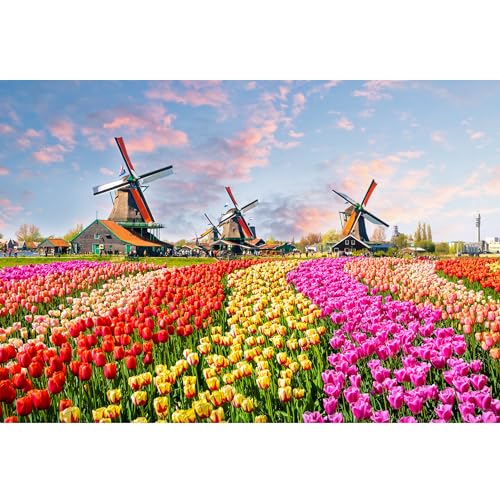 MISITU ジグソーパズル マイクロピース 1000ピース パズル 風景 自然 花 花畑 花園 風車 プレゼント 誕..