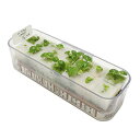 リビングファーム バジル 水耕栽培 苗作りキット (種子付き)