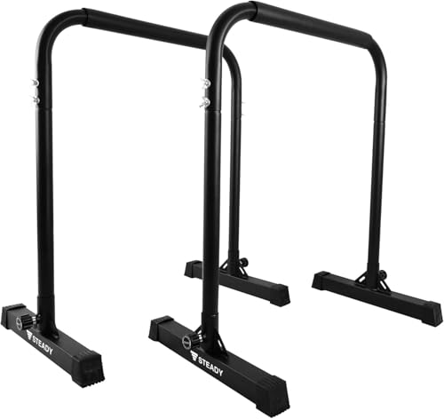 STEADY ディップススタンド 【 Designed in Japan 独自開発のTS System支柱 (特許庁実案登録) /耐荷重1..