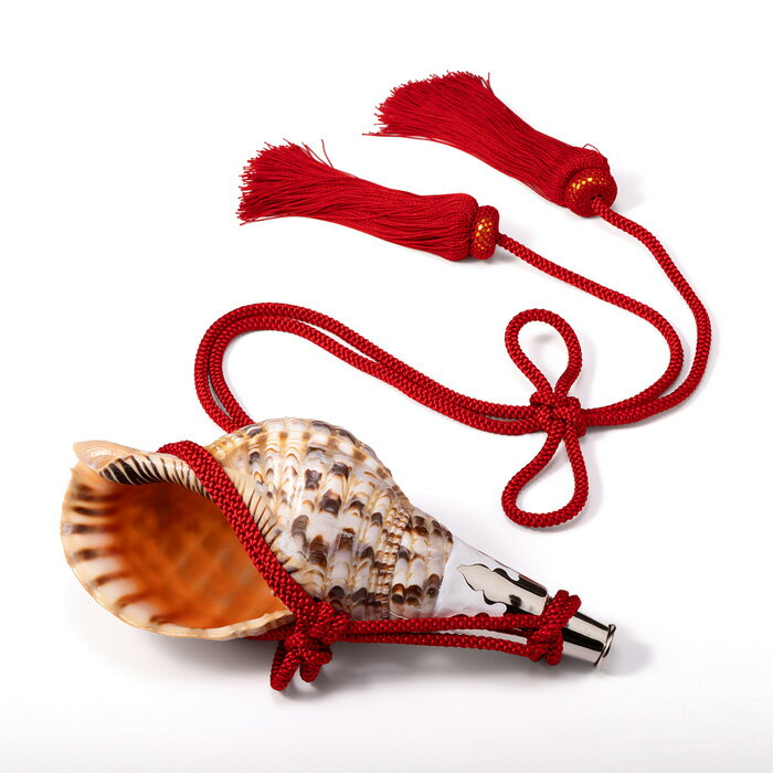 【 伊勢 宮忠 】【 No.138 法螺貝（ほら貝） 12インチ 】全長30.1cm 幅14.2cm 神具 楽器 笛 ほら貝 ホラ貝 神社祭儀式用具 神社 神職 真言宗