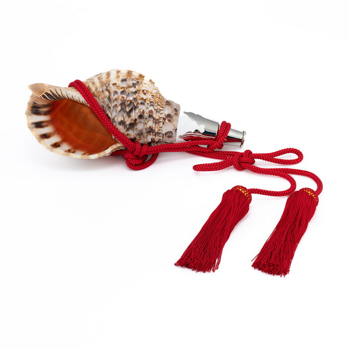 【 伊勢 宮忠 】【 No.101 法螺貝（ほら貝） 13インチ 】全長31.8cm 幅14.2cm 神具 楽器 笛 ほら貝 ホラ貝 神社祭儀式用具 神社 神職 真言宗