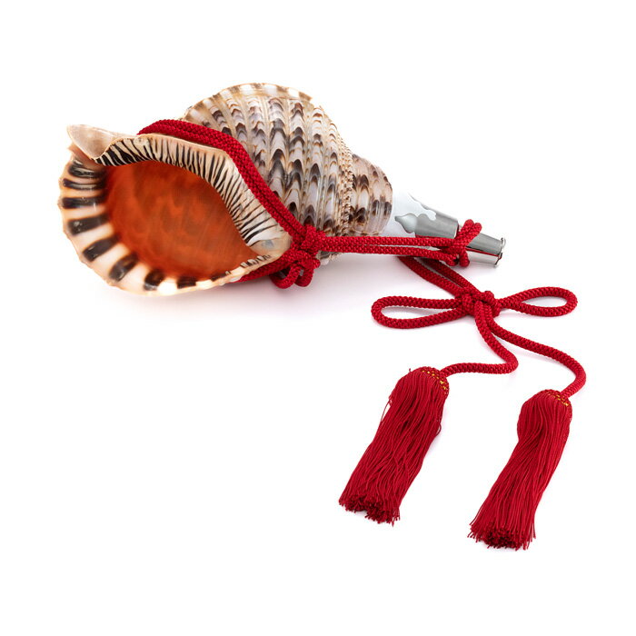 【 伊勢 宮忠 】【 No.80 法螺貝（ほら貝） 14インチ 】全長36.8cm 幅19.2cm 神具 楽器 笛 ほら貝 ホラ貝 神社祭儀式用具 神社 神職 真言宗